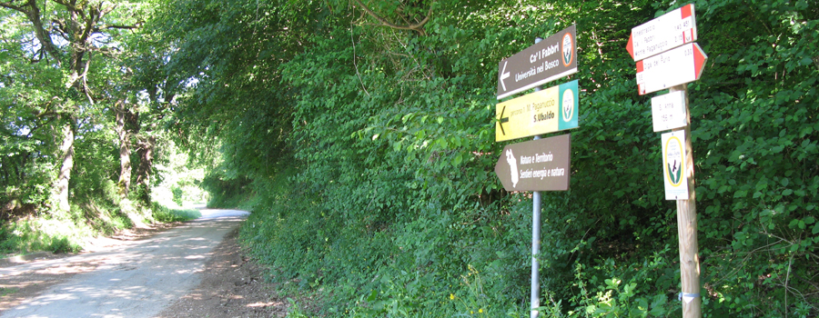 Gola del Furlo Sentiero 451 - immagine 1