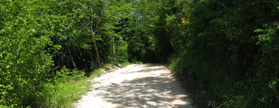Gola del Furlo Sentiero 451 - immagine 2