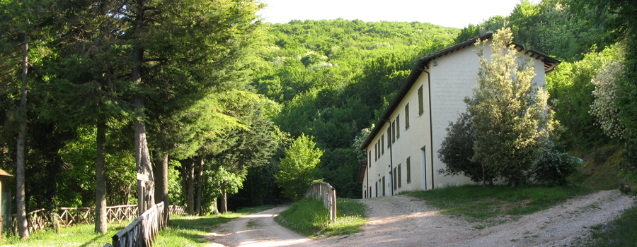 Gola del Furlo Sentiero 451 - immagine 10 (Ca' I Fabbri)