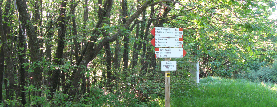 Gola del Furlo Sentiero 451 - immagine 12 (Monte Paganuccio)