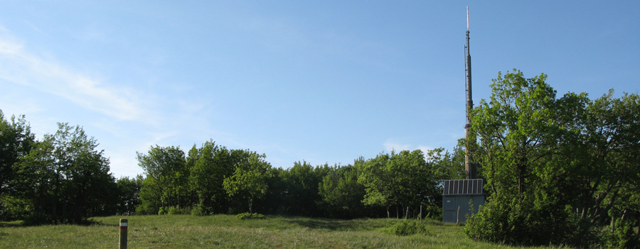 Gola del Furlo Sentiero 452 - immagine 13 (Monte Paganuccio)