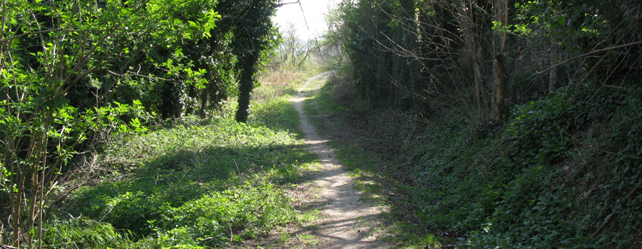 Monte di Montiego Sentiero 461 - immagine 2