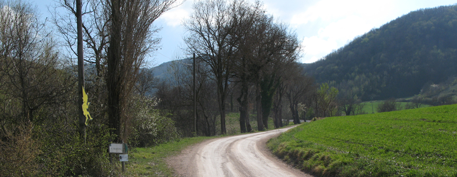 Monte di Montiego Sentiero 461 - immagine 4