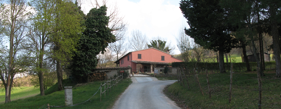 Monte di Montiego Sentiero 461 - immagine 5