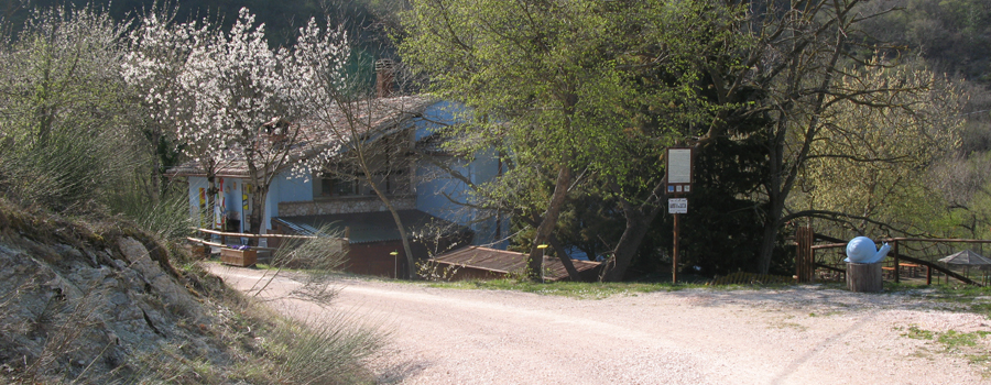 Monte di Montiego Sentiero 461 - immagine 7