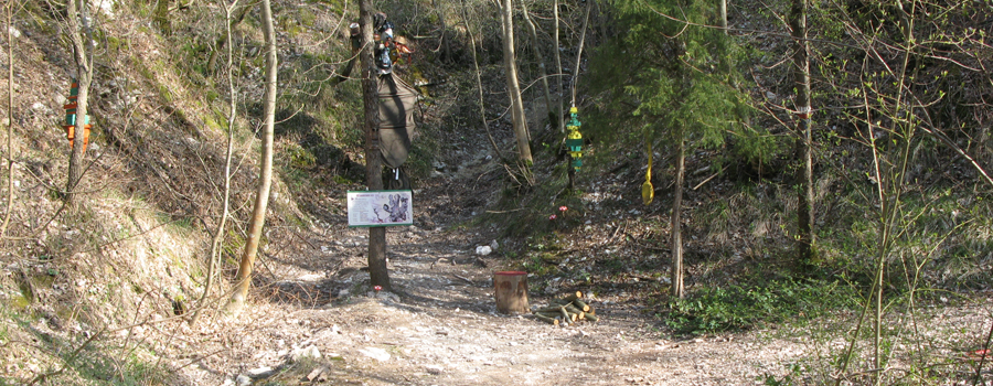 Monte di Montiego Sentiero 461 - immagine 8 (Bosco dei Folletti)
