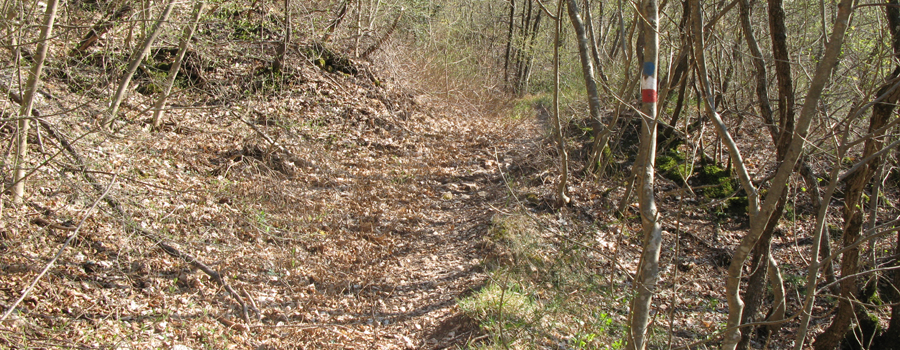 Monte di Montiego Sentiero 461 - immagine 10