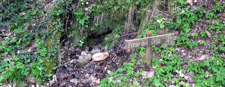 Monte di Montiego Sentiero 461 - immagine 11
