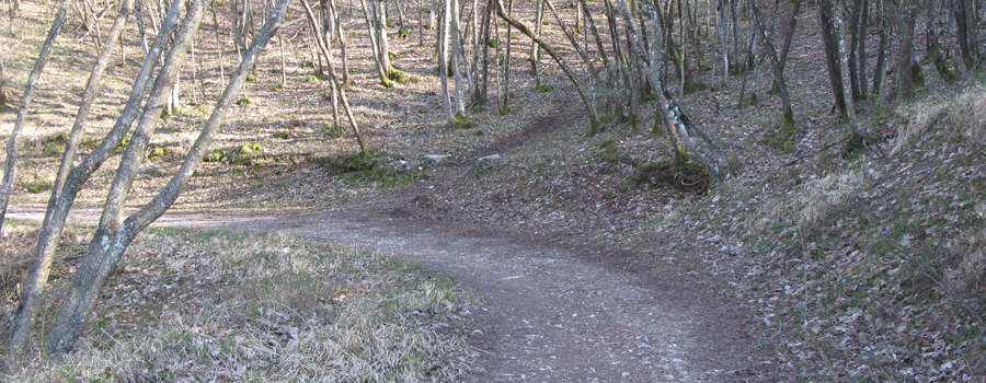 Monte di Montiego Sentiero 461 - immagine 12