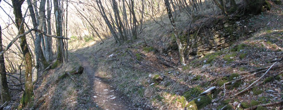 Monte di Montiego Sentiero 461 - immagine 13