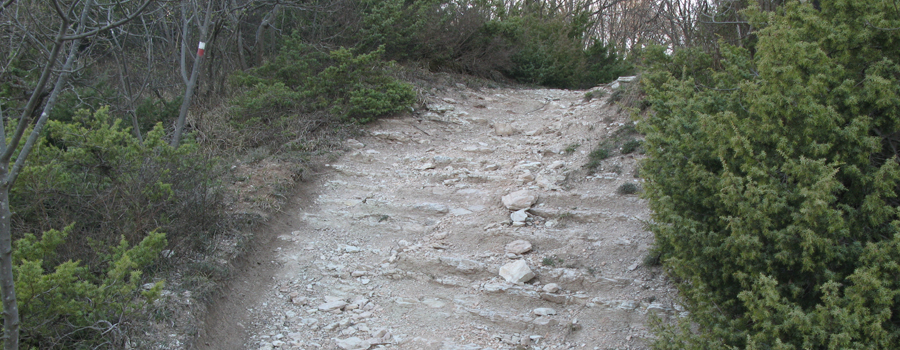 Monte di Montiego Sentiero 461 - immagine 15