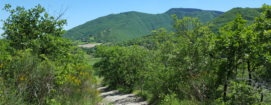 Monte di Montiego Sentiero 462 - immagine 3