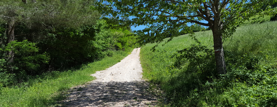 Monte di Montiego Sentiero 462 - immagine 4