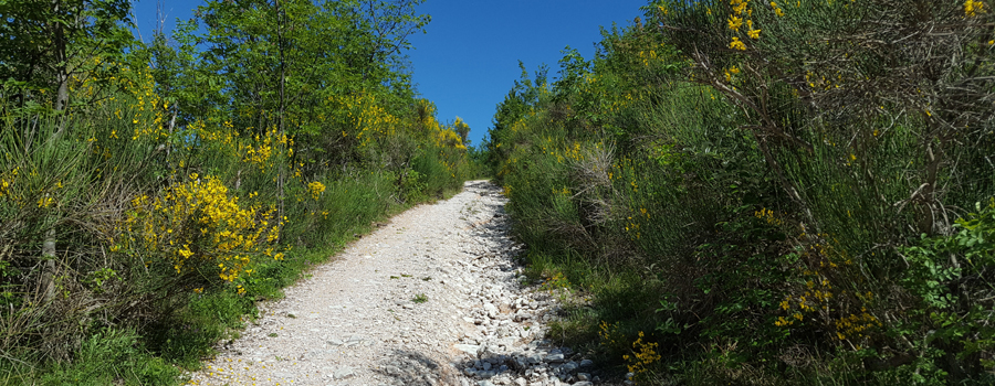 Monte di Montiego Sentiero 462 - immagine 8