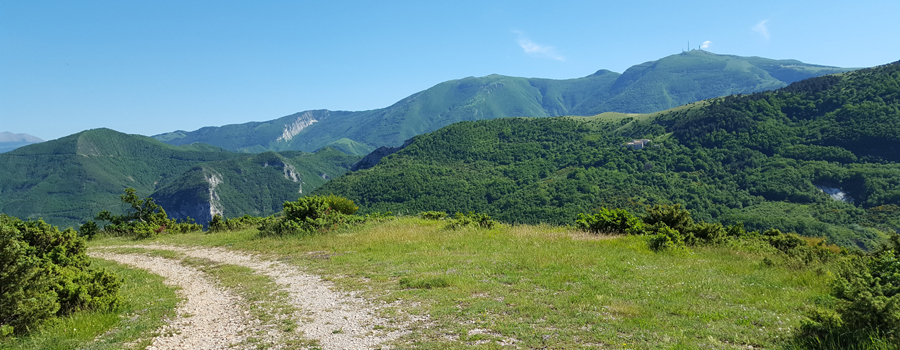 Monte di Montiego Sentiero 462 - immagine 9