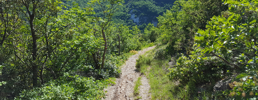 Monte di Montiego Sentiero 462 - immagine 10