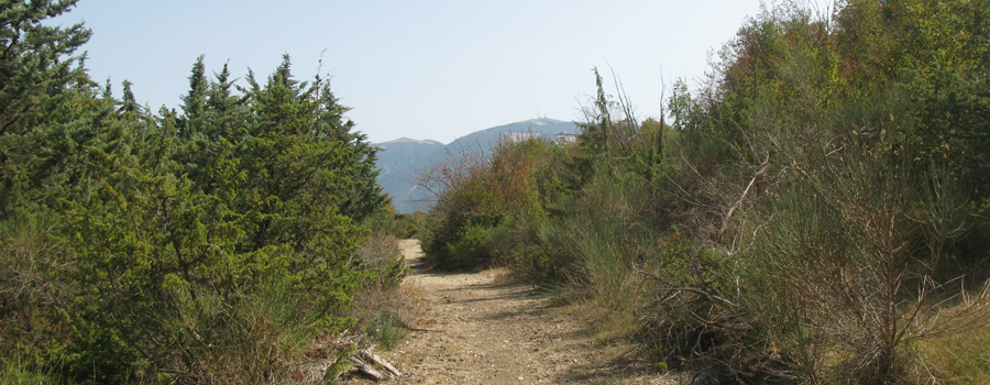 Monte di Montiego Sentiero 463 - immagine 3