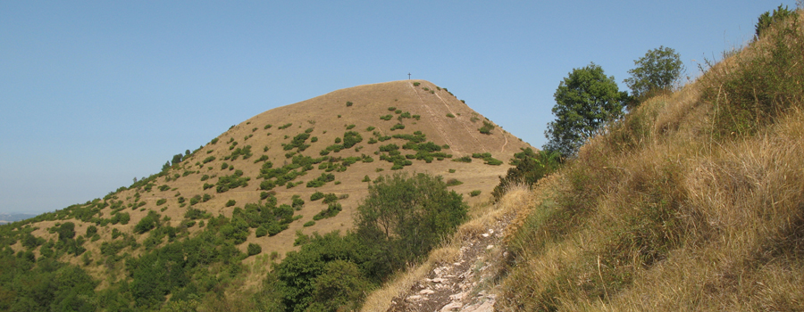 Monte di Montiego Sentiero 463 - immagine 4 (Monte del Picchio)