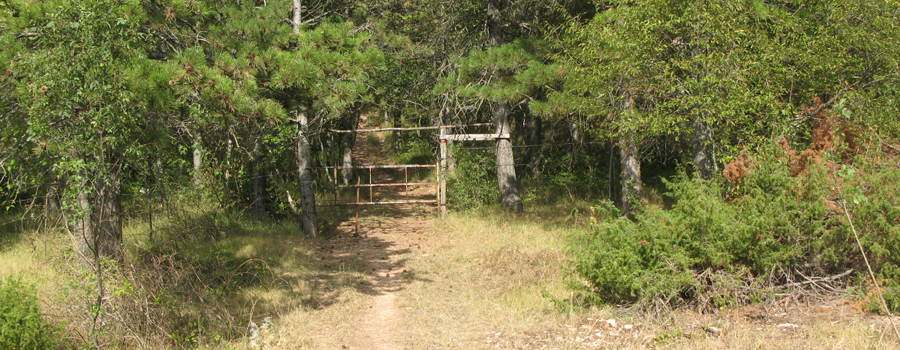 Monte di Montiego Sentiero 463 - immagine 6