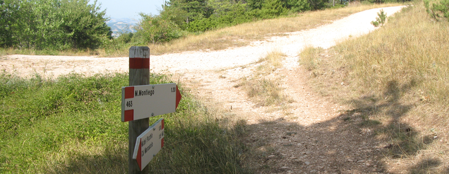 Monte di Montiego Sentiero 463 - immagine 7
