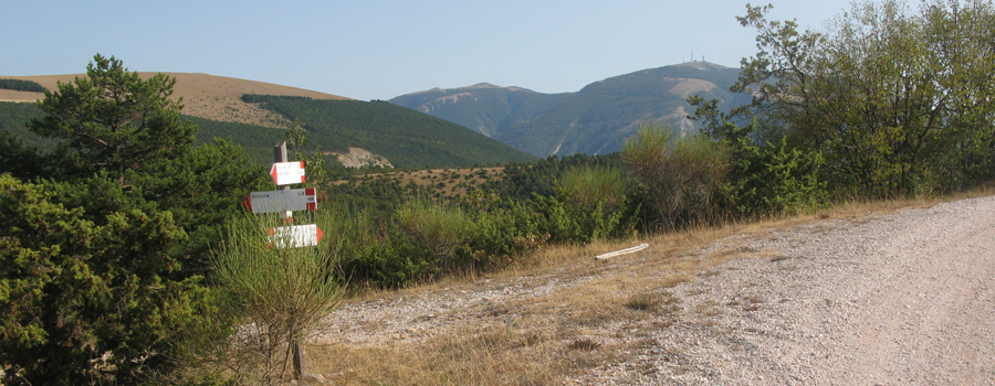 Monte di Montiego Sentiero 463 - immagine 8