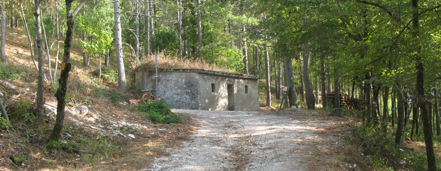 Monte di Montiego Sentiero 463 - immagine 9 (Capanna delle Guardie)