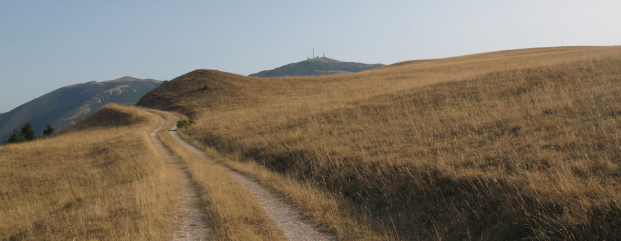 Monte di Montiego Sentiero 463 - immagine 12