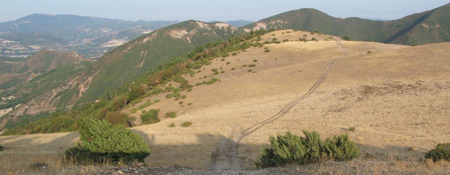 Monte di Montiego Sentiero 463 - immagine 14