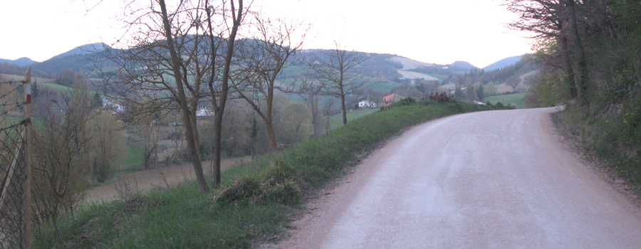 Monte di Montiego Sentiero 465 - immagine 3