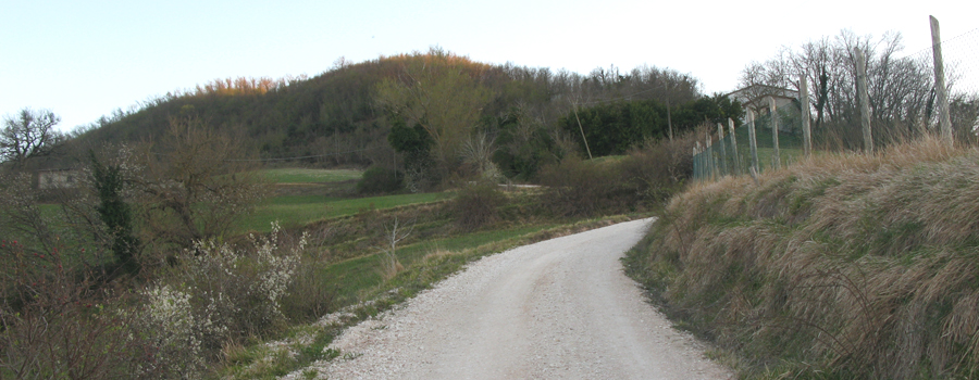 Monte di Montiego Sentiero 465 - immagine 5