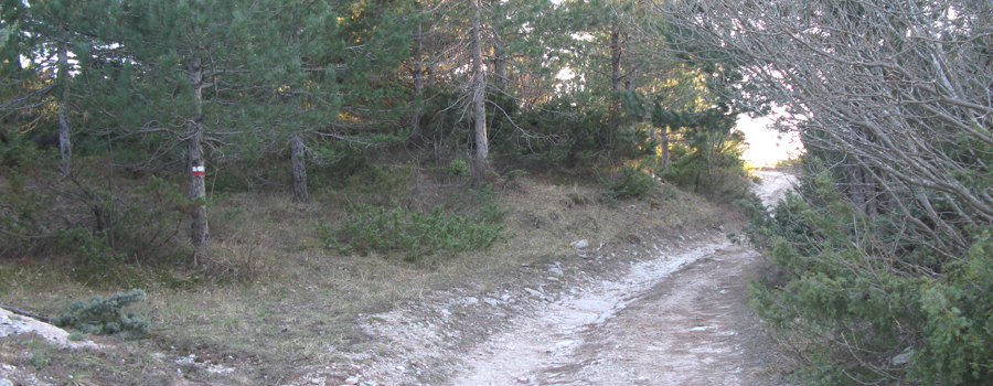 Monte di Montiego Sentiero 465 - immagine 8