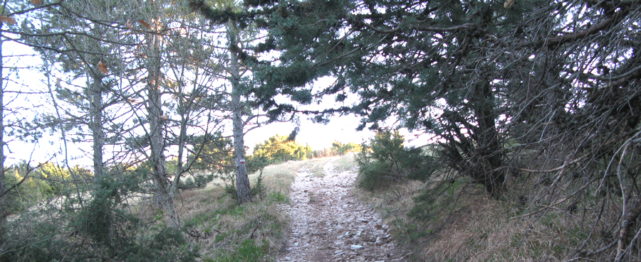 Monte di Montiego Sentiero 465 - immagine 9