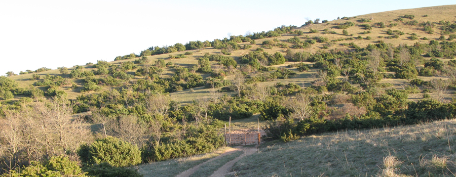 Monte di Montiego Sentiero 465 - immagine 11