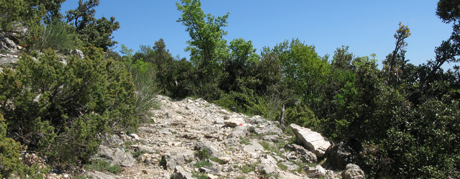 Monte di Montiego Sentiero 5 - immagine 7