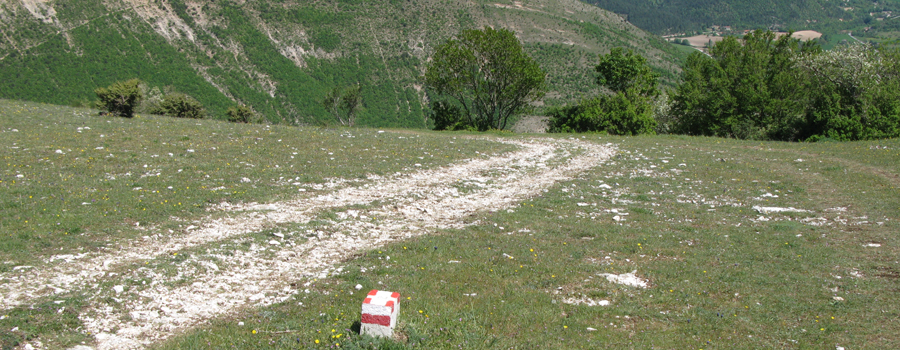 Monte di Montiego Sentiero 5 - immagine 8