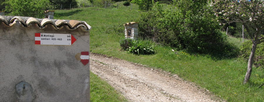 Monte di Montiego Sentiero 5 - immagine 10