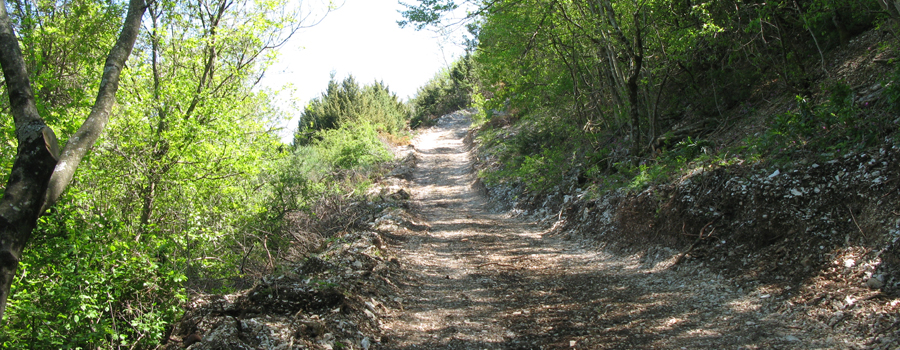 Monte di Montiego Sentiero 5 - immagine 11