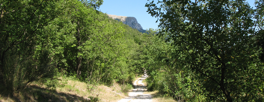 Monte Catria Sentiero 52 - immagine 2