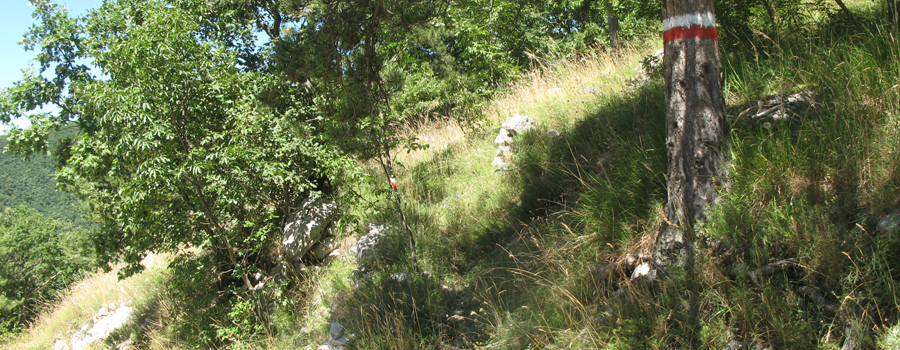 Monte Catria Sentiero 52 - immagine 4