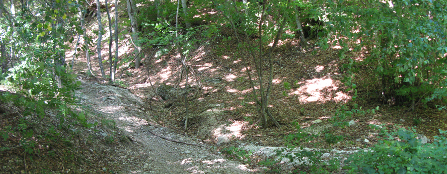 Monte Catria Sentiero 53 - immagine 1