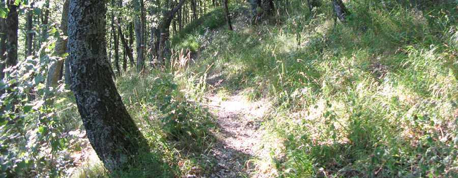 Monte Catria Sentiero 53 - immagine 2