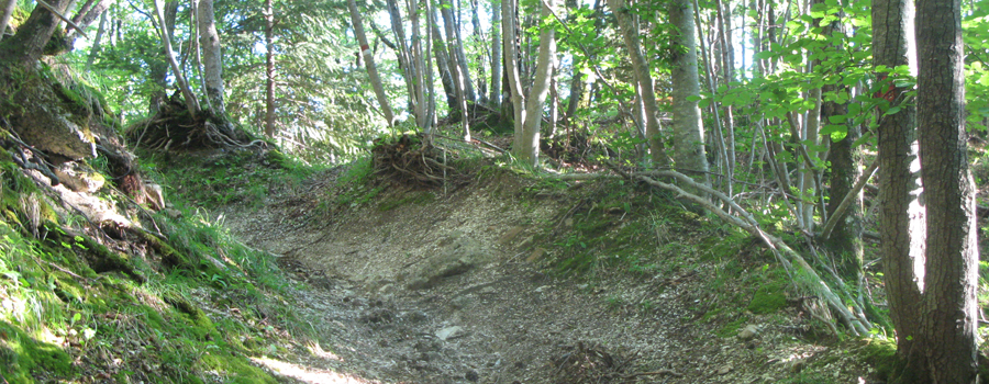 Monte Catria Sentiero 53 - immagine 2A