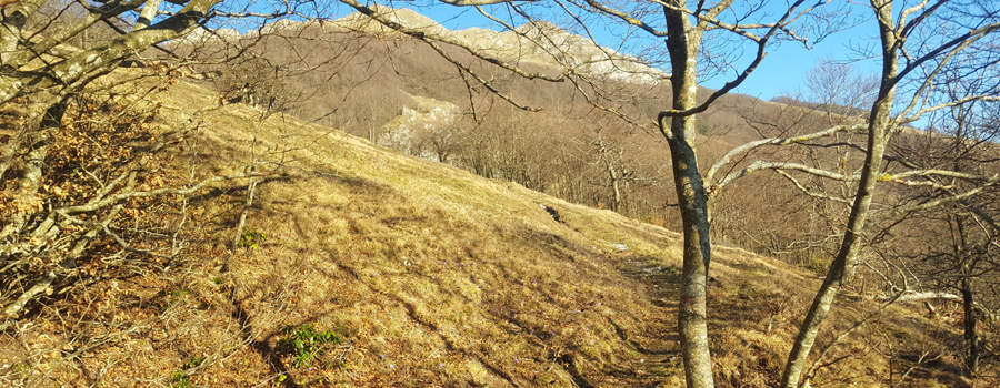 Monte Catria Sentiero 53 - immagine 2c