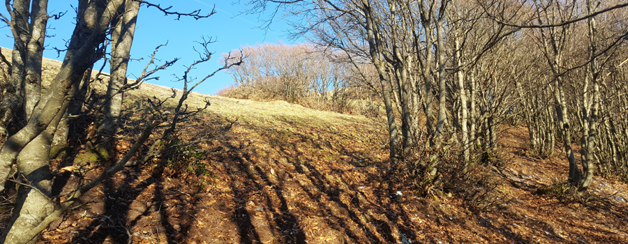 Monte Catria Sentiero 53 - immagine 3a