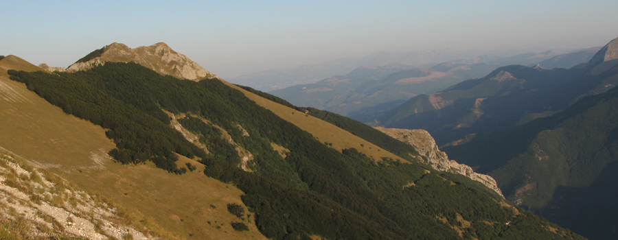 Monte Catria Sentiero 54 - immagine 4 (Cresta degli Spicchi e Corno)