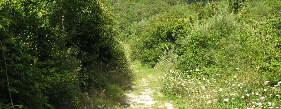 Monte Catria Sentiero 55 - immagine 2