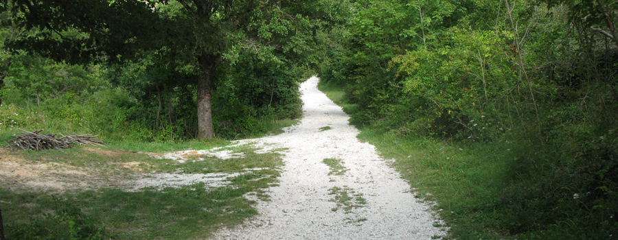 Monte Catria Sentiero 55 - immagine 3