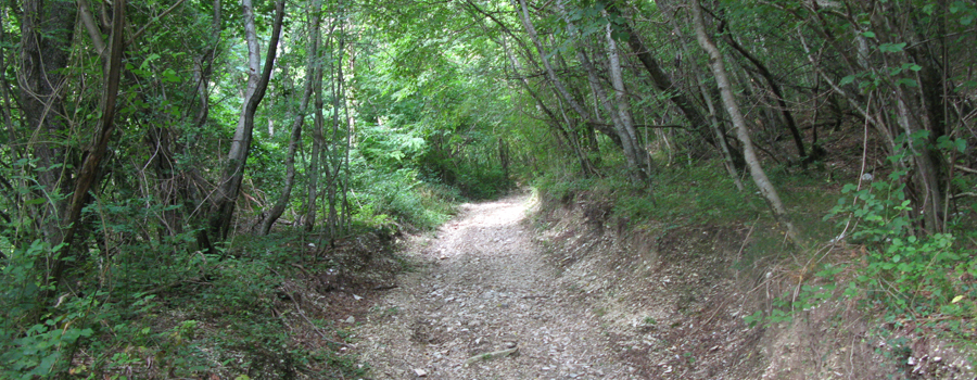 Monte Catria Sentiero 55 - immagine 4
