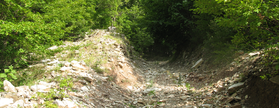 Monte Catria Sentiero 55 - immagine 5