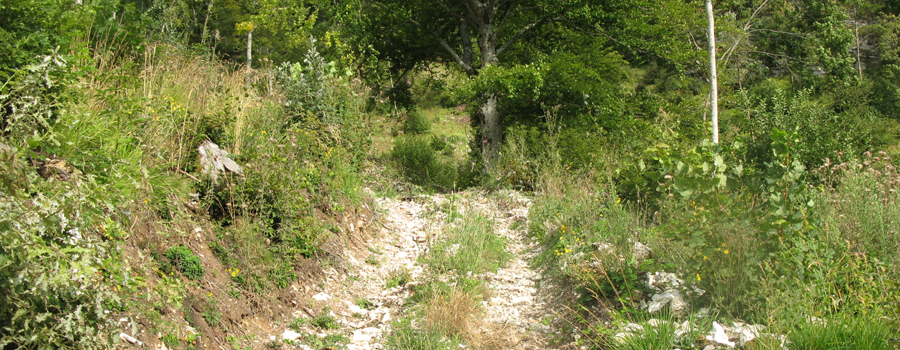 Monte Catria Sentiero 55 - immagine 6